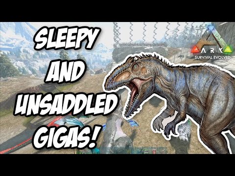 ARK | Worst OIL TRIBE on SMALLS! | Teamers and botters! | Server 100