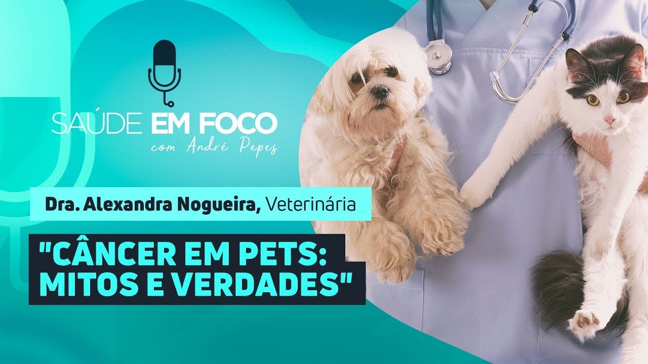 "CÂNCER EM PETS: MITOS E VERDADES" | Saúde em Foco - 11/02/25