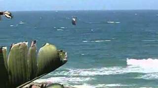 preview picture of video 'Kite Surfing at Southbroom KwaZulu Natal South Africa'