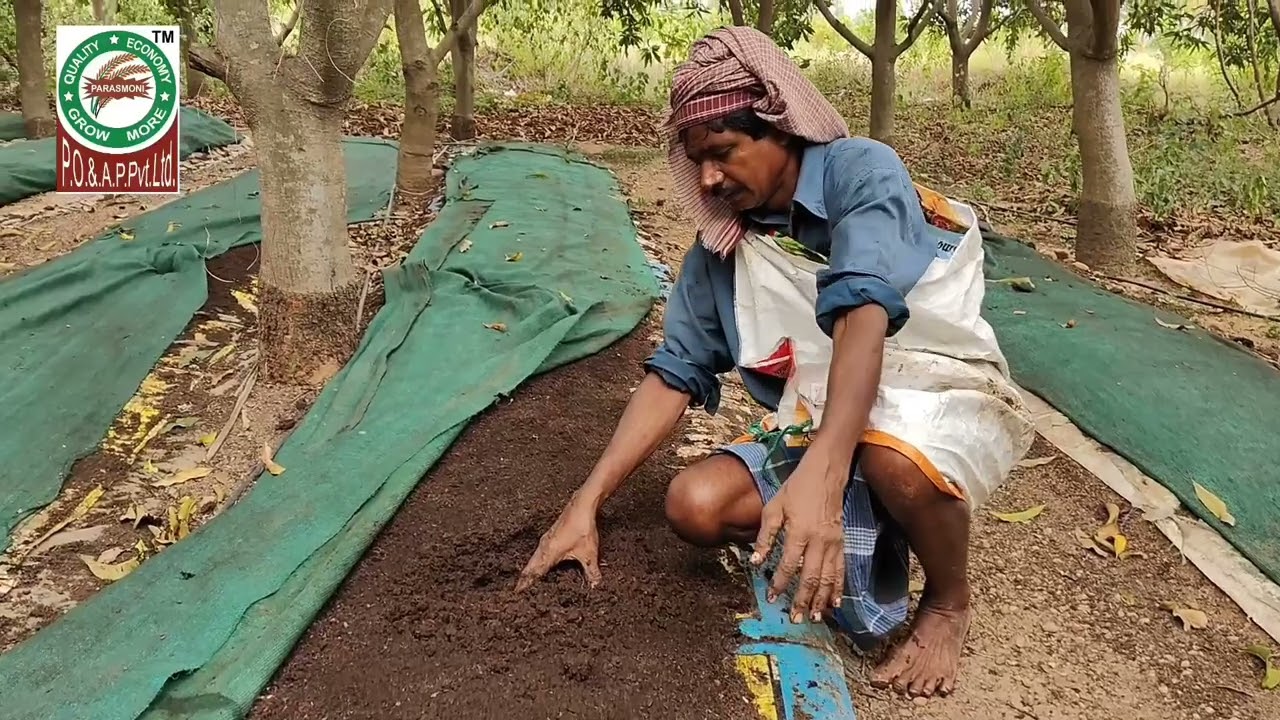কৃষকের বন্ধু বলা হয় "কেঁচোকে".কেনো বলা হয় ? জানতে দেখেননি পুরো ভিডিওটি ।