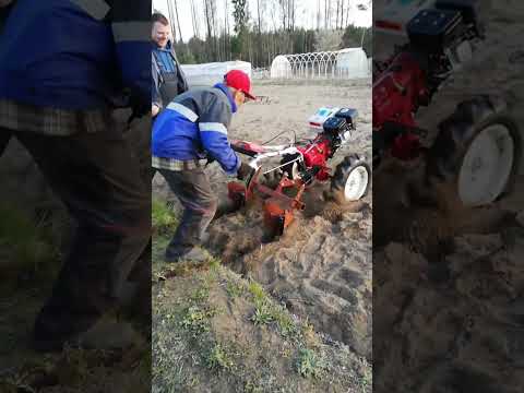 ЧТО ПОШЛО НЕ ТАК #тракторист #мотоблок #огород #трактор #поле #приколы