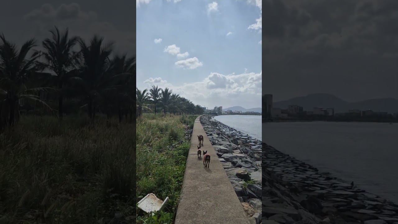 새해 복 많이 받으쇼 다들 #다낭