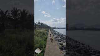 새해 복 많이 받으쇼 다들 #다낭