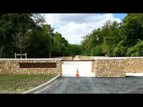 Renaturation du Bois de Saint-Eutrope (Bondoufle)