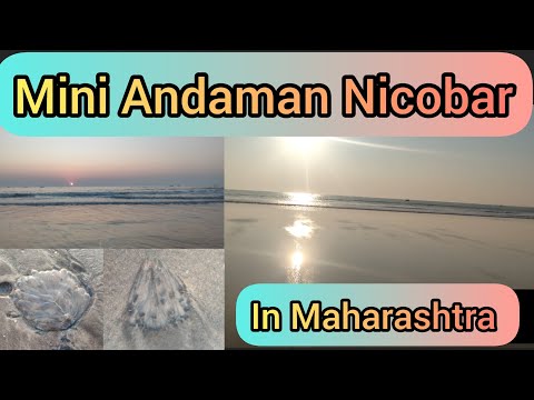 Aarvi Beach ⛱️ Shrivardhan/ Diveagar/ Kondvil Beach🏖️ Kokan Alibag Beach