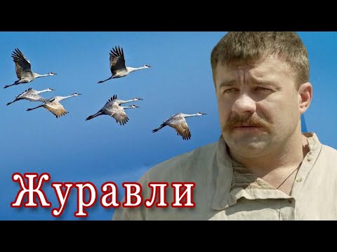 Вот это ПЕСНЯ! За ДУШУ БЕРЁТ! ЖУРАВЛИ. Послушайте!