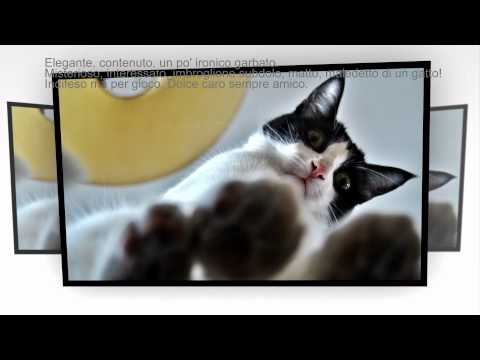 Tu chiamale se vuoi EMOZIONI