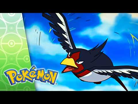 That’s Just Swellow | POKÉMON FULL EPISODE 40 | Season 7
