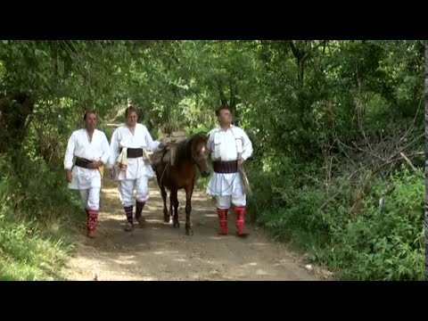 BOBI ANDE - TRI PUT KONJA KOVU