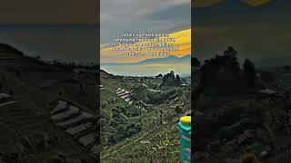 Download lagu tenang ae ra usah kwatir #storyjawa#vidioshorts#dangdut #storyharian#beranda#platgstory mp3 Download lagu tenang ae ra usah kwatir #storyjawa#vidioshorts#dangdut #storyharian#beranda#platgstory mp3
