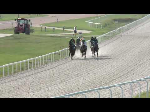 2022.08.28. 06. futam - OVERPACE HENDIKEP (V/b.) (szintetikus pálya)