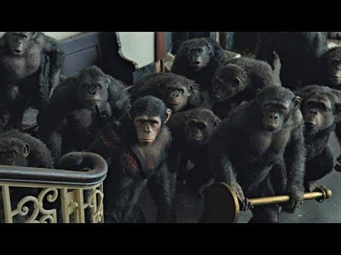 Koba Kills Ash Scene | Dawn of the Planet of the Apes (2014)#LOWI