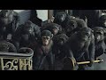 Koba Kills Ash Scene Dawn Of The Planet Of The Apes 2014 LOWI