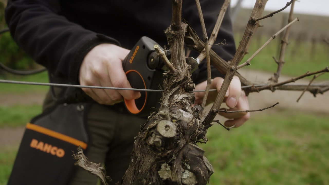 Sécateur Batterie Bahco BCL23