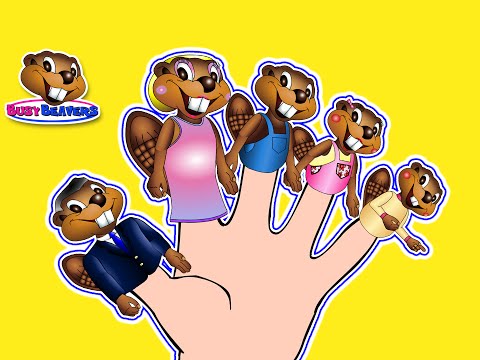 Finger Family Beavers | English Baby Song, Children Learning, Kindergarten Kids Education, Animals