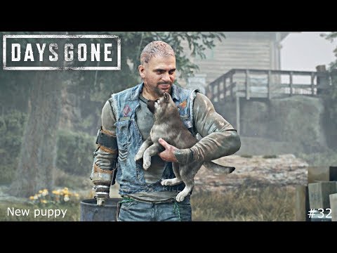 Days Gone - Gameplay Playthrough - part 32 - BOOZER'S NEW PUPPY (PS4)(HD60)
