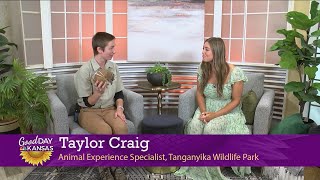 Tanganyika Twilight Tour