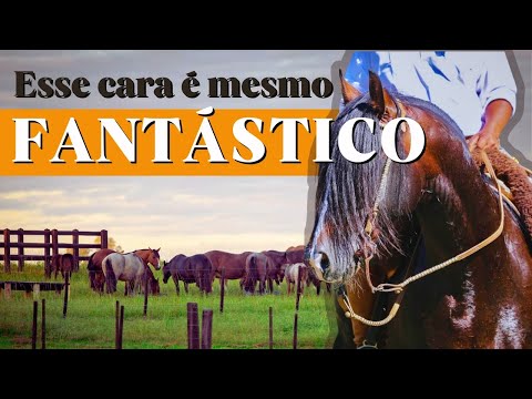 Fantástico de São Pedro, the greatest stallion of the Crioula breed at Expointer 2024