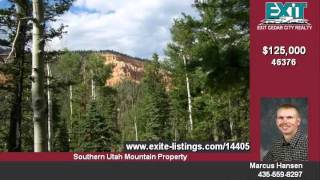 preview picture of video '10 Acres near Navajo Lake Duck Creek UT'