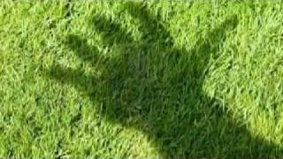 Pooh - Giorno per giorno