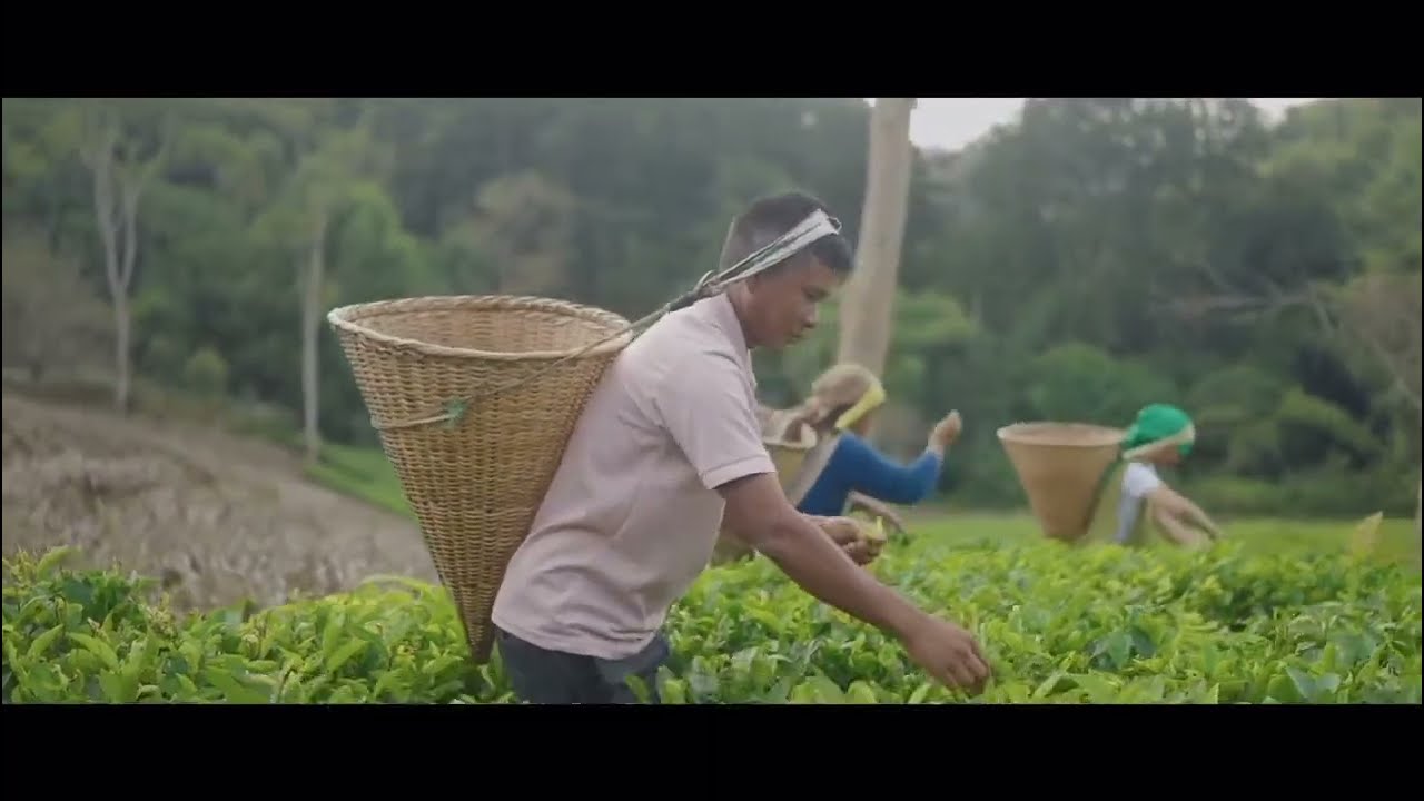 Play video interview with Marbah Warjri