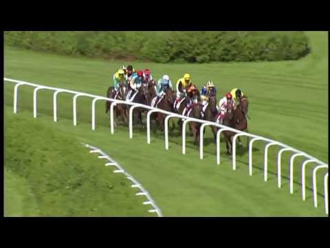 Hamburg: Almased-Cup (Gruppe 3) - Siegerin: Daytona Bay