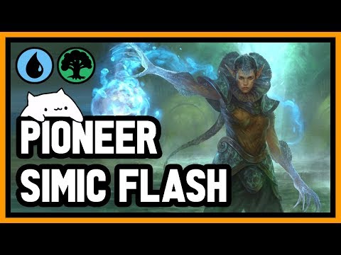 【 Pioneer 】 ⚡️ SIMIC FLASH ⚡️ Let's be annoying!