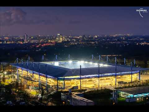 Die Zebras stehen wieder auf