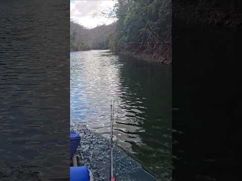 BARRAGEM DE BURITINOPOLIS GOIÁS LINDO DEMAIS #lago #music