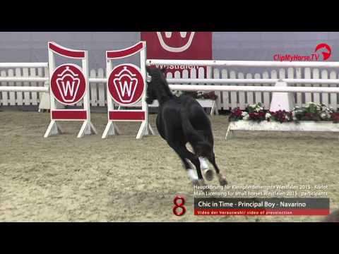 08 Chic in Time - Principal Boy - Navarino