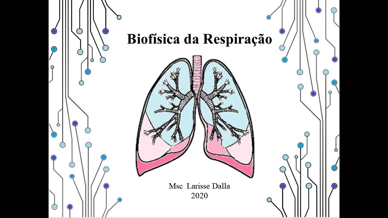 Biofisica da respiração