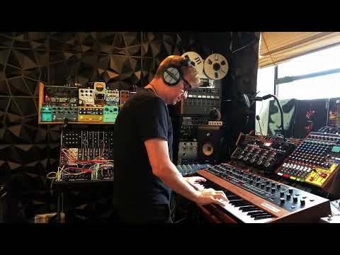 Peaceful Days Echoes (Berlin School with analog synths)