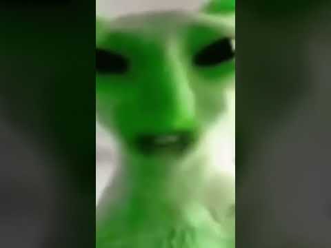 Alien Cat zep zep zip zip #memes