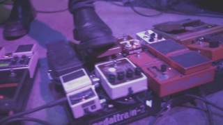 The Stargazer Lilies - Golden Key