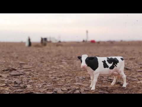 COPY011 - Konfetti Klub Ensemble - Araklezmer (Video Cut)