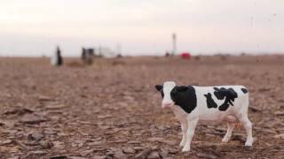 COPY011 - Konfetti Klub Ensemble - Araklezmer (Video Cut)