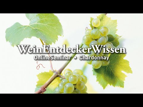 🍇 Chardonnay 🍇 – WeinEntdeckerWissen OnlineSeminar