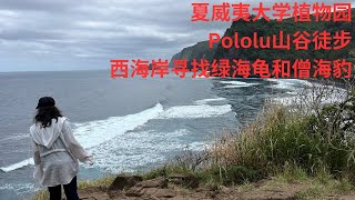 大岛最北端徒步 西海岸寻找僧海豹 夏威夷大岛第七天 2024Nov27