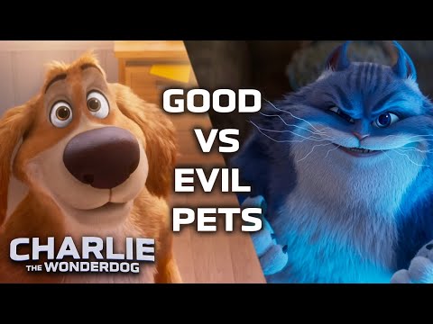 Good vs. Evil: The Pet Showdown