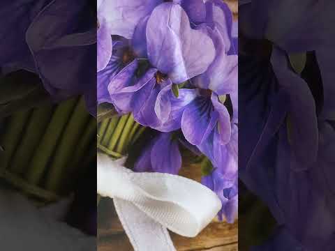 Fragment dintr-o slujbă de Crăciun(Grazia Deledda-"Darul de Crăciun")