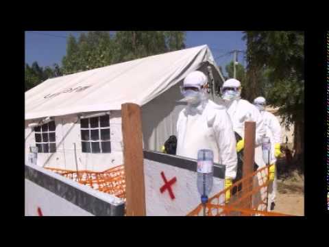 UN urges debt relief for Ebola-hit nations