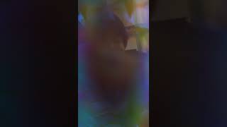 ドウガコレダスン