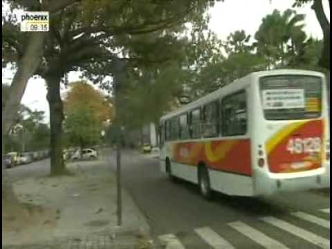 BLEIFUSS IN SÜDAMERIKA 2