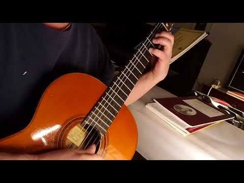 Caprice Op. 100 No. 13 - Mauro Giuliani