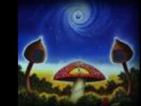 Darren Tate nocturnal creatures!!!