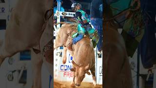 CORRE QUE O COBIÇADO É PRESSÃO 🐂💢