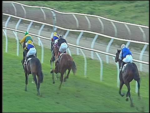 Galoppo 07/12/2016 - 3ª corsa