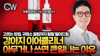 이어클리너 고르는 방법:귀청소방법  꿀팁:강아지입양준비물:귀털뽑기