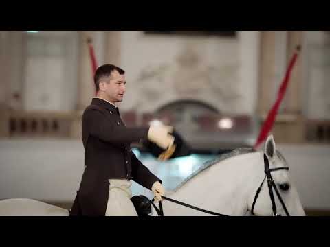 Morning Exercise at the Spanish Riding School - What to expect