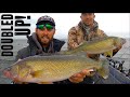 Catching TONS of Walleyes With This SUPER EFFECTIVE Technique!